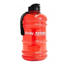 Biotech Bottle – 600ml by DWYS-Sports