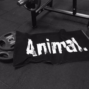 Universal Animal Gym Towel by DWYS-Sports