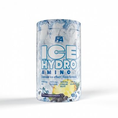 DWYS FA Nutrition Ice Hydro Amino 480g